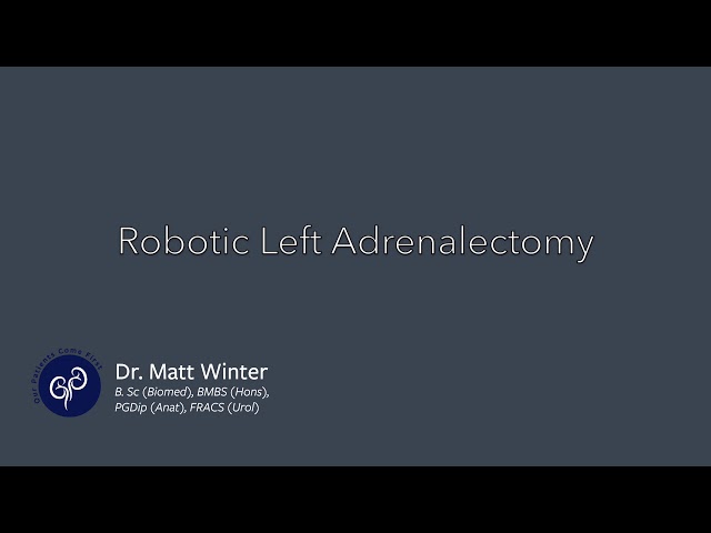 Robotic Left Adrenalectomy - Dr Winter