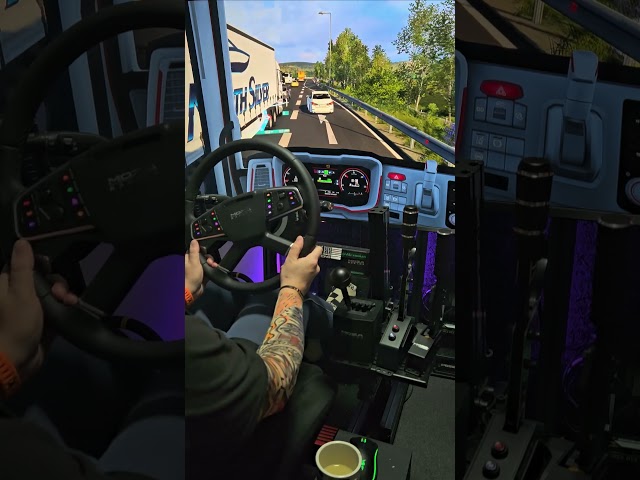 Euro Truck #nextlevelracing #mozaracing #eurotrucksimulator2 #steeringwheel #ets2