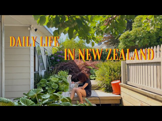 Our slow life in New Zealand