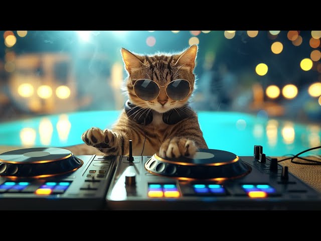 Livestream DJ Miaww - Mixset Techno Dance 2025 | Get Into The Pool Party with The Coolest Cat Dj🐾