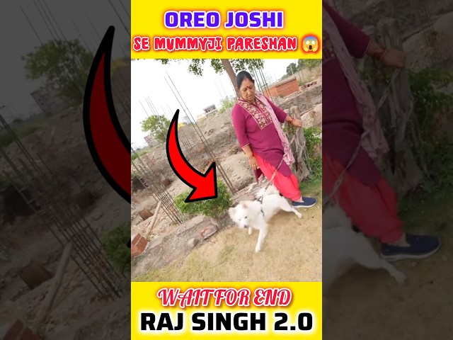 Sourav Joshi vlogs Oreo se Mummy Ji Pareshan Hai 😱 @souravjvlogs #souravjoshivlogs #ytshorts