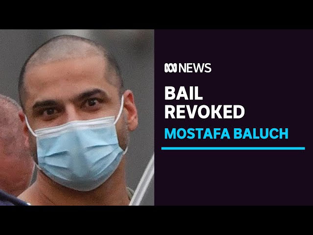 Mostafa Baluch to remain behind bars after brief court hearing in Sydney | ABC News