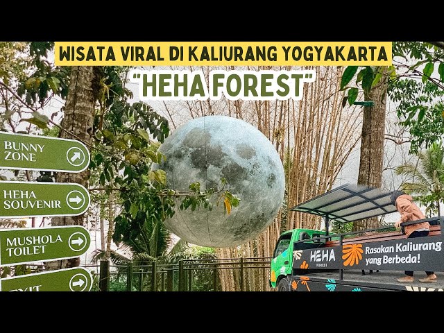 Wisata Baru Viral di Jogja ‼️Cuma 20ribu | HEHA FOREST KALIURANG