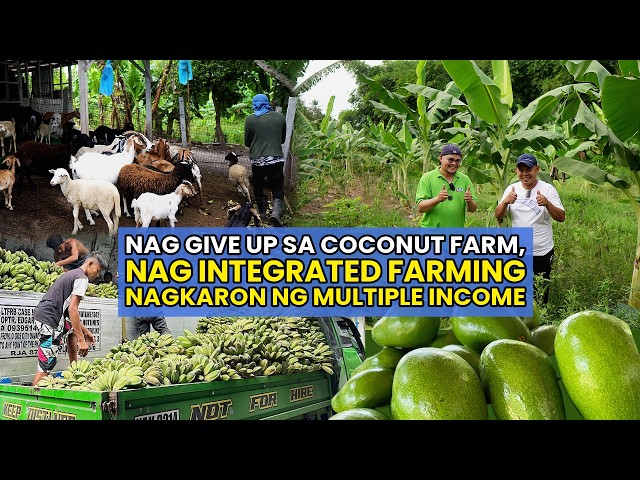 Pinaputol ang Coconut Farm, Para Mag Integrated Farming, Nagkaron ng Multiple Income