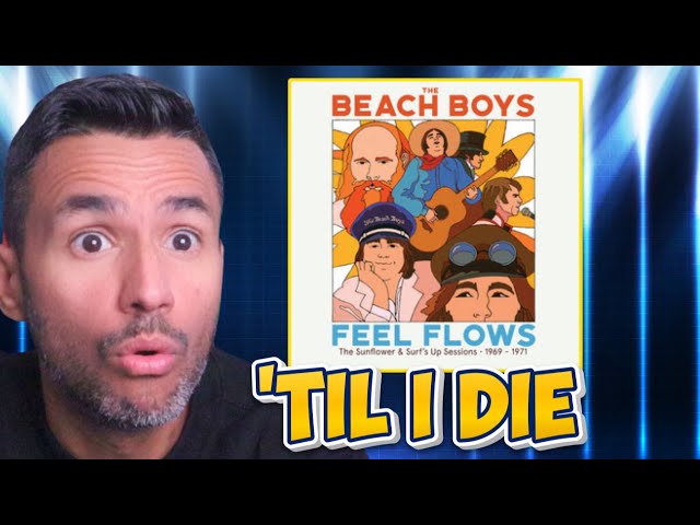 The Beach Boys - 'Til I Die (REACTION) First Time Hearing Long Version