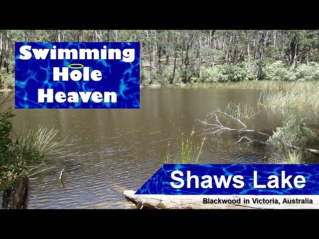 Swimming in Shaws Lake in the Lerderderg State Park, Victoria