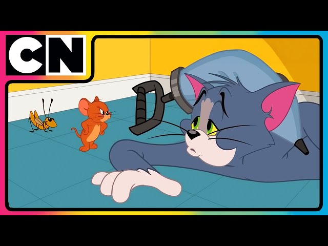 Tom and Jerry 😺🐭| Tom’s Icy Pursuit! | Compilation | Animation Cat and Mouse | @cnindia