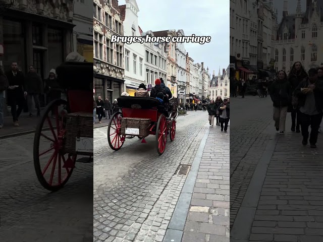 Horse carriage in Bruges | Belgium 🇧🇪