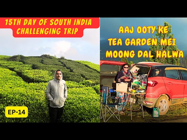 OOTY ke beautiful Tea Garden mei Camping,challenge of 45 day 7000 km South India Trip.Vlg-170(EP-14)