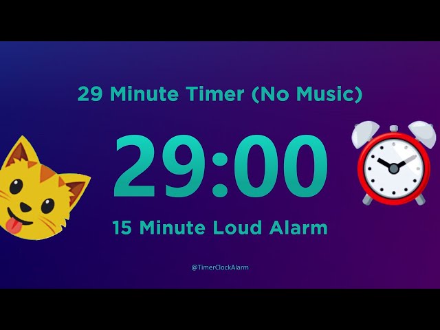 29 minute Timer Countdown (No Music) with Loud Alarm