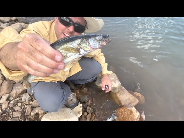 Survival cooking pit roasting and broiling fish