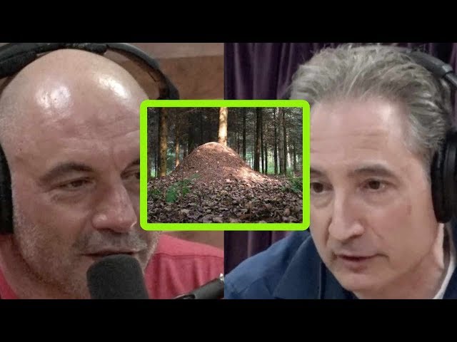 Physicist Brian Greene Has a Theory on Why Aliens Haven’t Visited Us