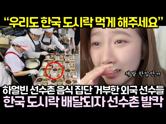 “우리도 한국 도시락 먹게 해주세요” 하얼빈 선수촌 음식 집단 거부한 외국 선수들 한국 도시락 배달되자 선수촌 발칵