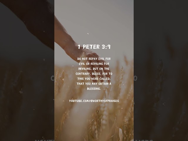 We Are Called to Bless | 1 Peter 3:9