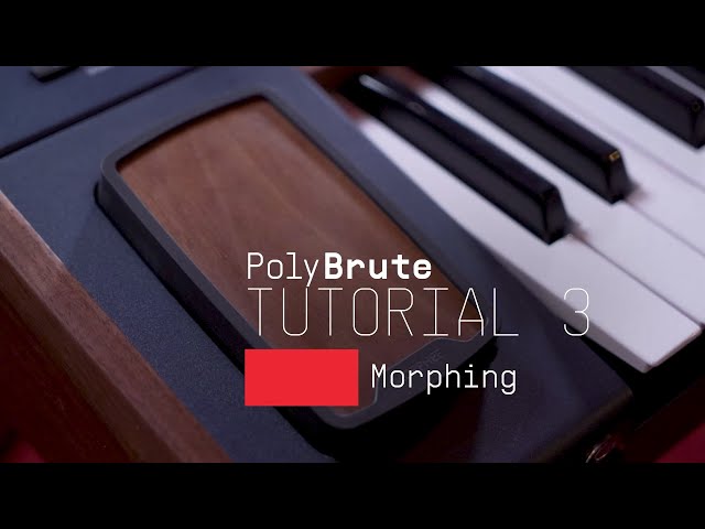 Tutorials | PolyBrute - Episode 3: Morphing