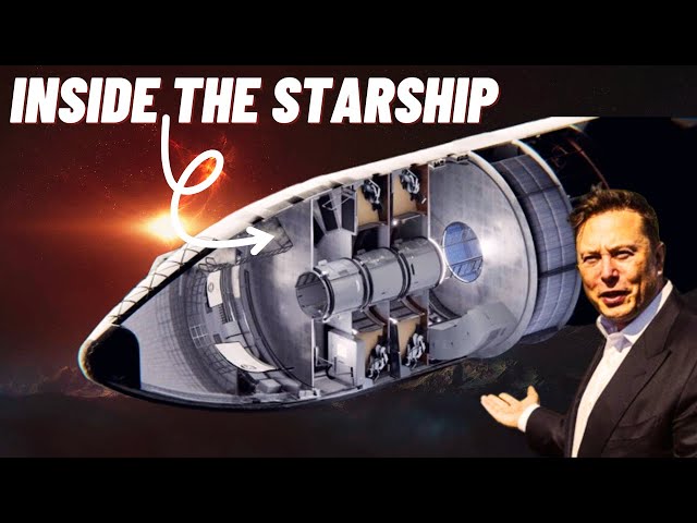 Inside SpaceX Starship: What Life Aboard the Mars Rocket Would Really Be Like!