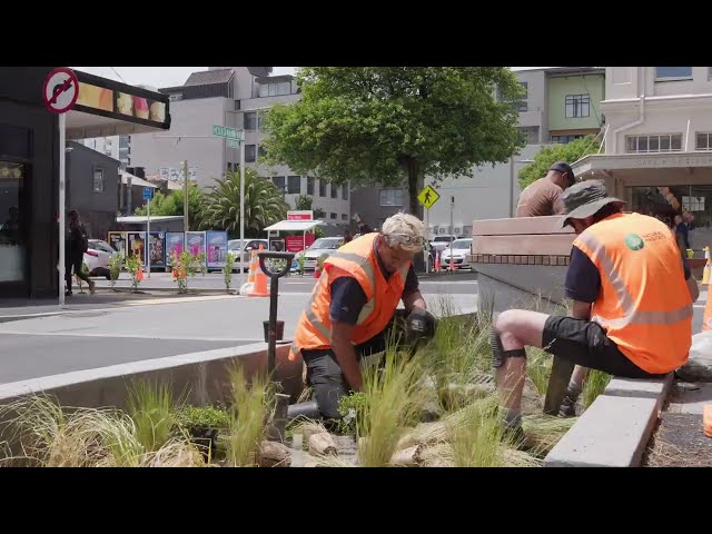 Wellington's First Rain Garden 🪴