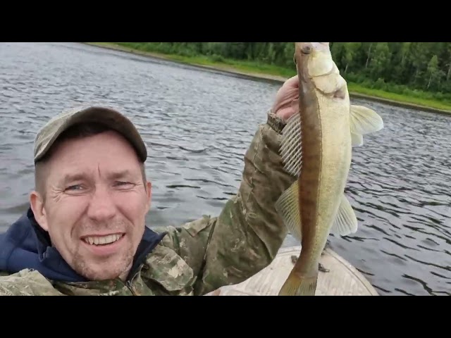 Biggest asp/Здоровый жерех,щуки,судак на спиннинг.#fishing #fish #biggestasp #bigpike #Zander #cacht