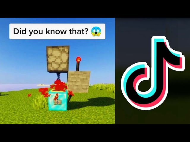 Minecraft TikTok Hacks Busted!!!