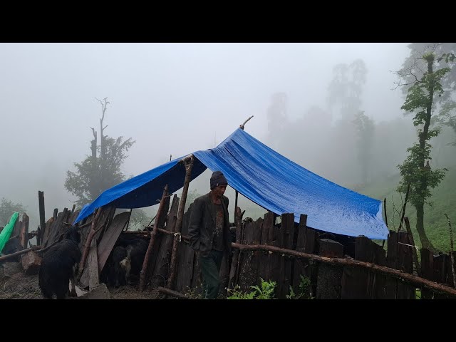 Most Beautiful And Relaxing Nepali Mountain Village Life in Winter Season Rainy Time । Organic