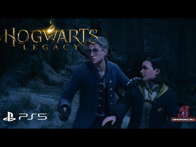 HOGWARTS LEGACY | SURPRISE MEETING | HARD DIFFICULTY PLAYTHROUGH | PS5 4K HDR