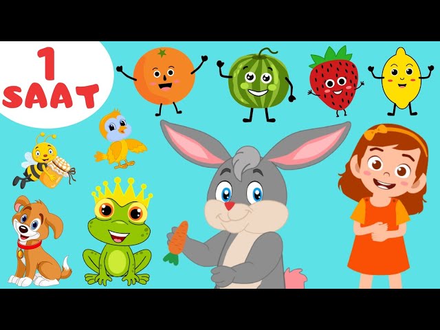 Favorite Baby and Kids Songs Together | 60 Minutes | Cartoon | Eggmen