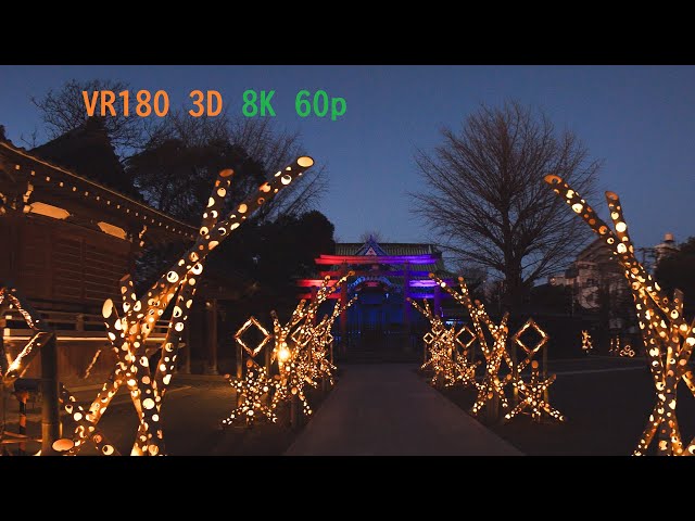 VR180 3D 牛嶋神社 竹あかり ライトアップ TOKYO SKYTREE / EOS R5C w CANON RF 5.2mm F2.8 L DUAL FISHEYE