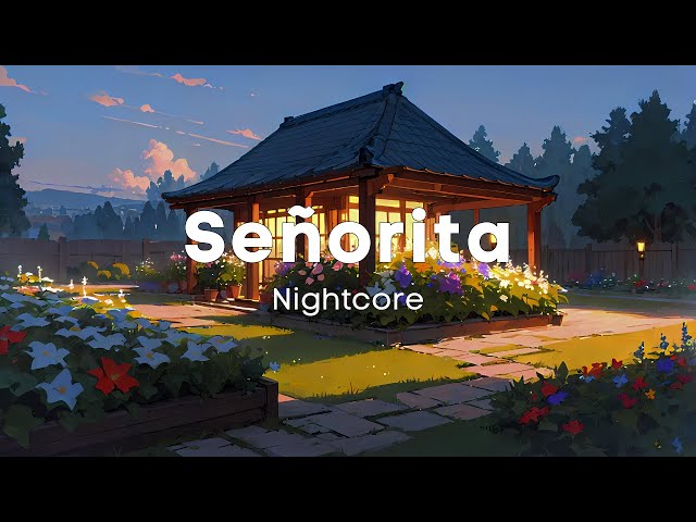 Nightcore - Señorita (Lyrics)