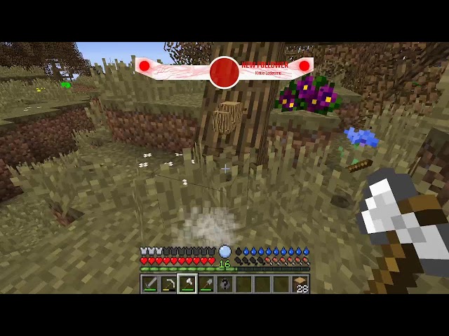 Modded Minecraft | Episode 1