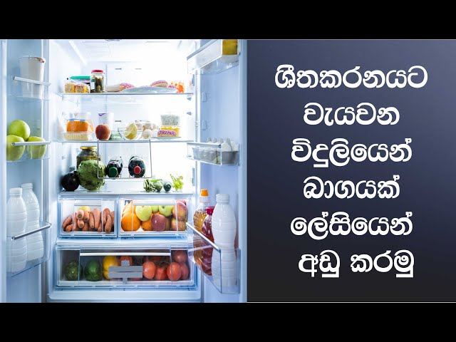 How to save half of the electricity consumed by the refrigerator