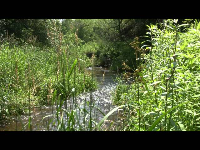 10minutes2relax - Bubbling Brook off Shore Creative Commons Attribution License