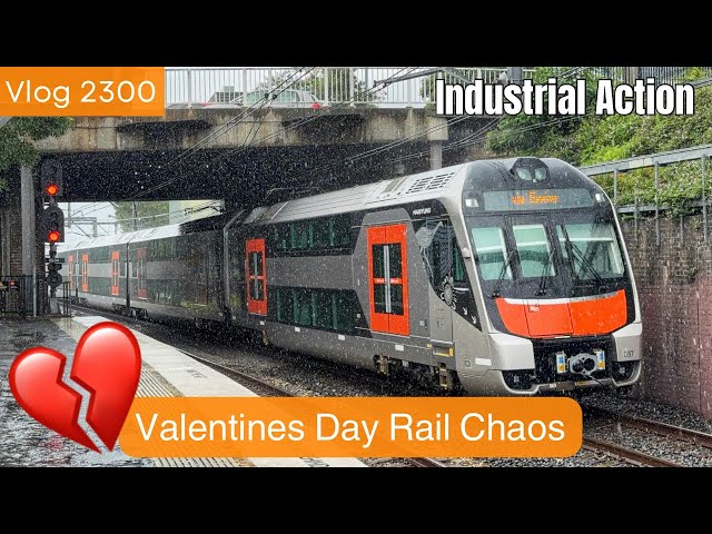 Sydney Trains Vlog 2300: Valentines Day Rail Chaos