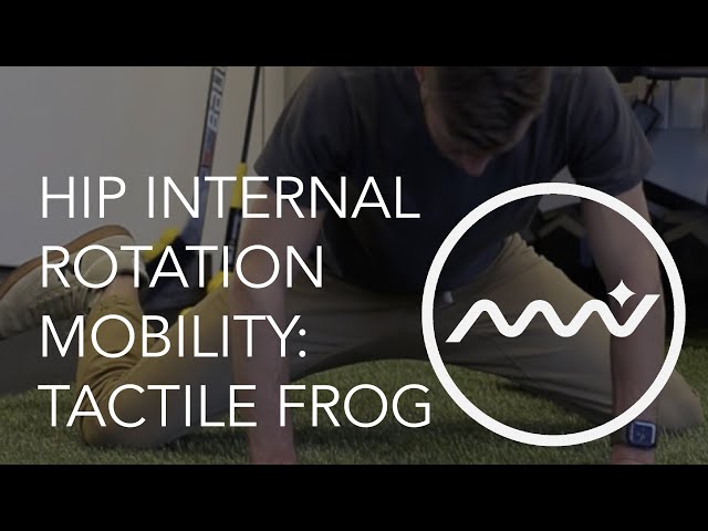 Hip Internal Rotation Mobility for Beginners / Tactile Frog Position