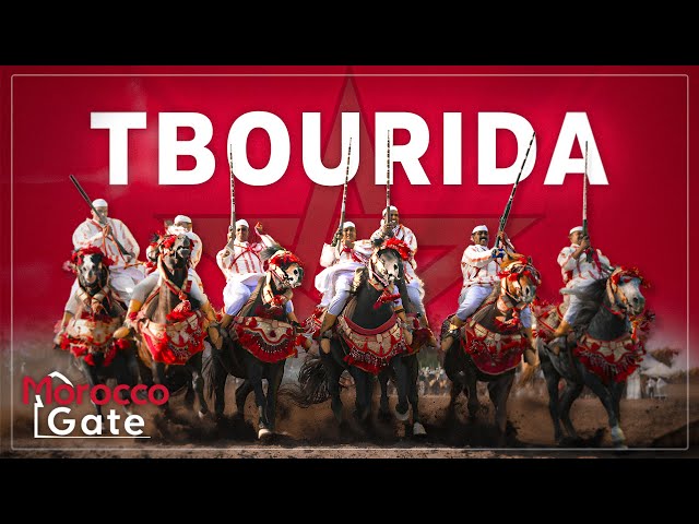 🇲🇦 Exploring Morocco's Tbourida: A Journey From Battlefields To Unesco Heritage