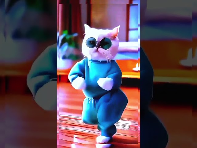 #cartoon #cat #dancevideo #video