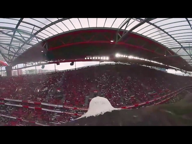 360° video: S.L. Benfica's mascot gives eagle's-eye view of the Lisbon stadium