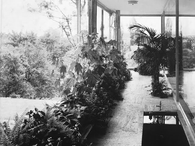 Tugendhat House _ Mies van der Rohe