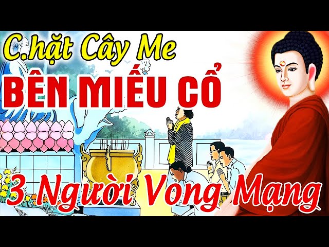 Chuyện Tâm Linh 100% Có Thật, Chặt CÂY ME Bên MIẾU CỔ Khiến 3 Người VONG MẠNG.. | 10 Chuyện Nhân Quả