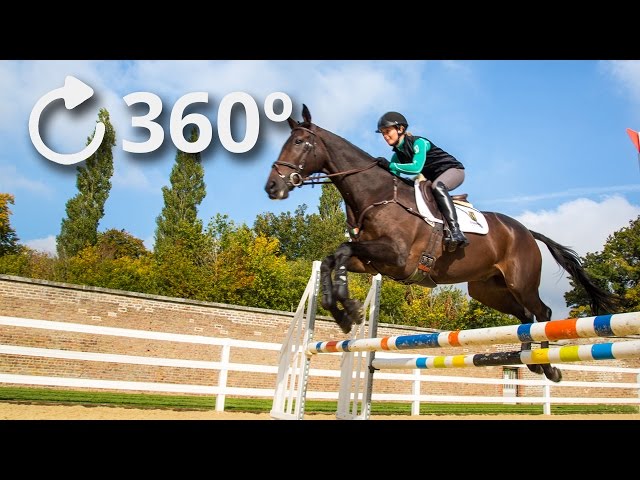 360º Getting Jumped Over by a Horse - 4K - Tredstep