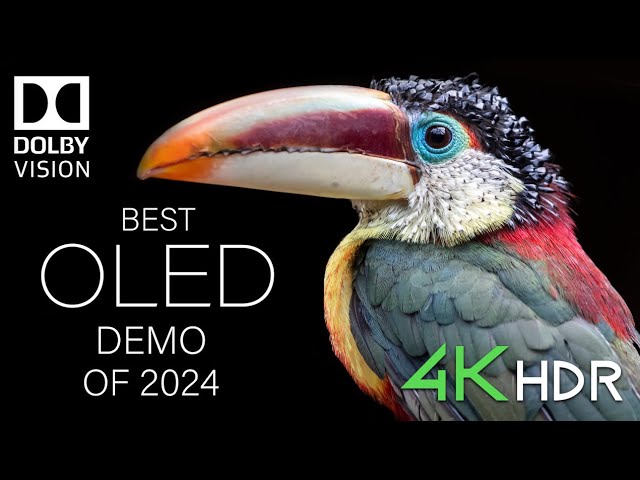 BEST OLED DEMO 2024! Dolby Vision 12K HDR 120fps - Mind-Blowing!