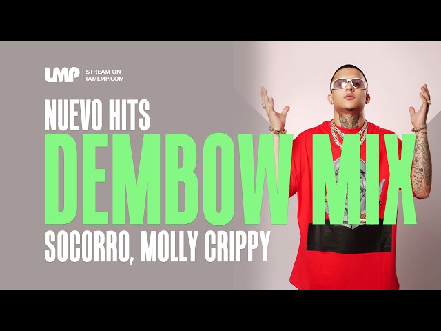 Nuevo Dembow Mix (Socorro, Jey One, Braulio Fogon, Chimbala, Flow 28, Dillon Baby) | DJ Reymi