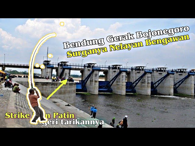 Kerajaan Ikan Bendungan Gerak Bojonegoro