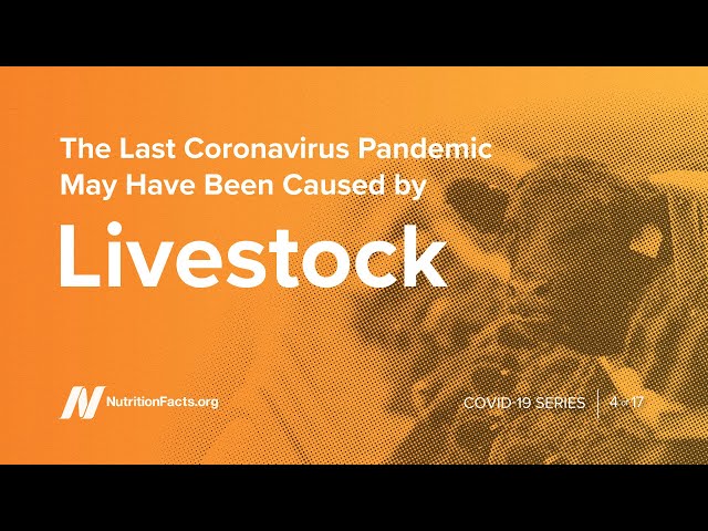 The Last Coronavirus Pandemic May Have Been Caused by Livestock