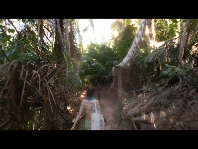 Hiking around Puerto Vallarta Mexico - VR180