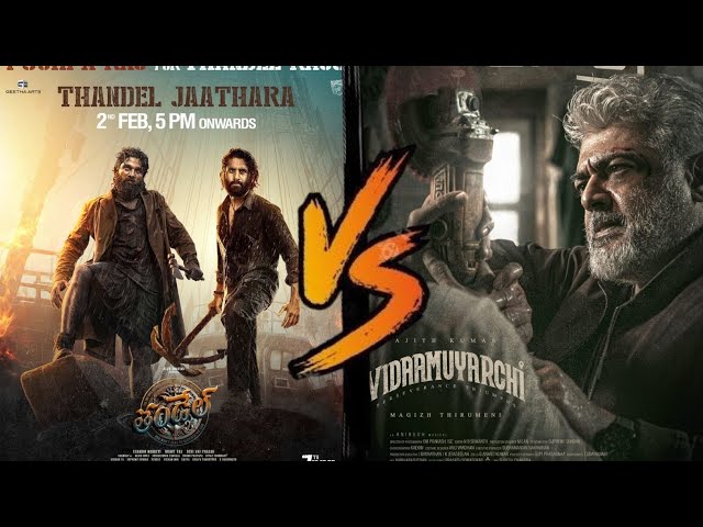 Thandel Vs Vidaamuyarchi Movie Comparison|| Thandel Vs Vidaamuyarchi Collection|| AKR Movie Morsel