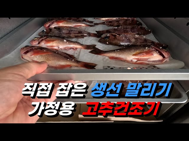 동해바다 맛있는 생선 고추건조기에 말려 보았습니다 / 생선 건조방법, 건조기 사용법