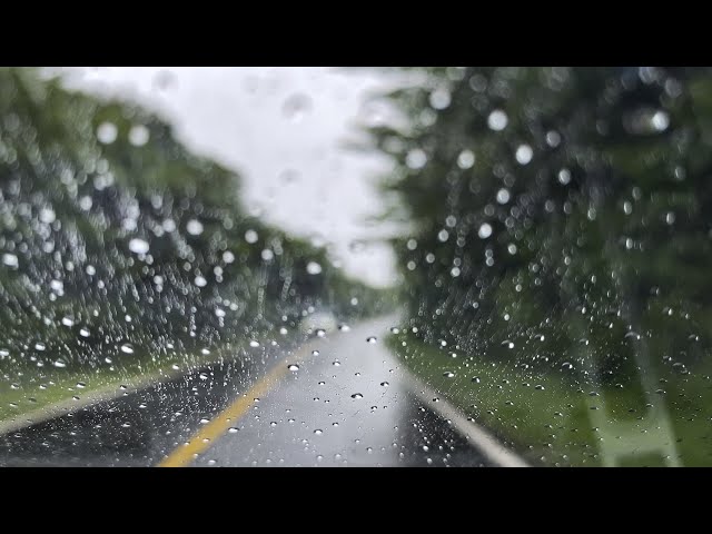 Driving in the rain with Music(Lofi, Jazz, Hip Hop & Chill Beats)