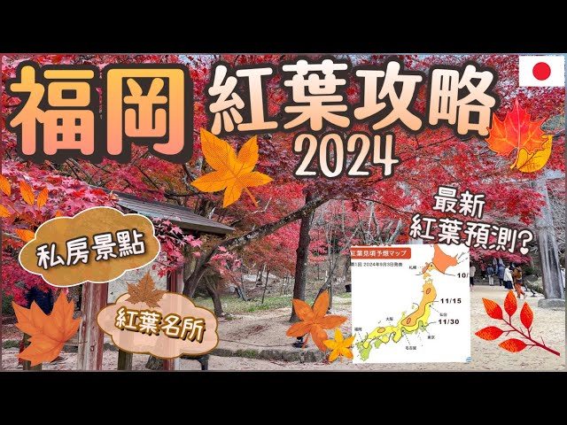 福岡賞楓懶人包2024 | 不能錯過的紅葉景點🍁 | 最新九州紅葉預測 |在地人推薦賞楓一日遊