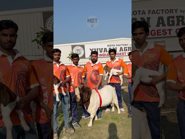 Breeding Boer With Kid’s At Yuvaan Agro Farm