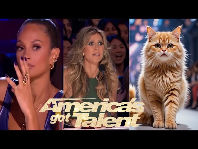 The little kitty stunned the AGT judges and viewers